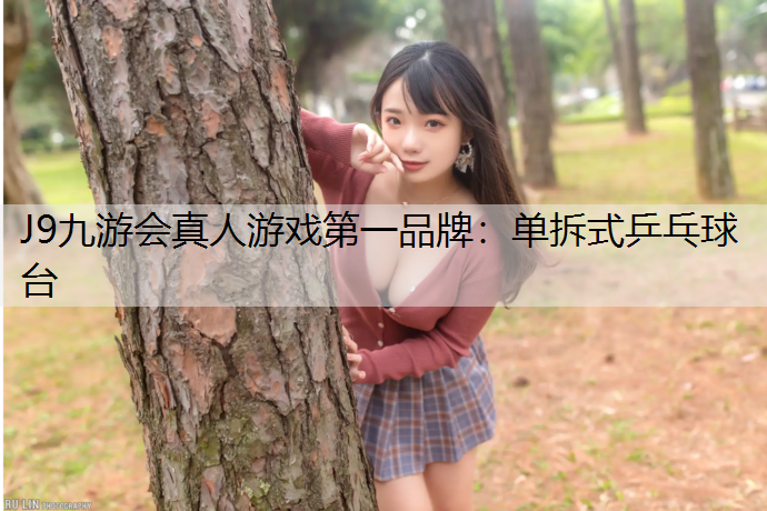 单拆式乒乓球台